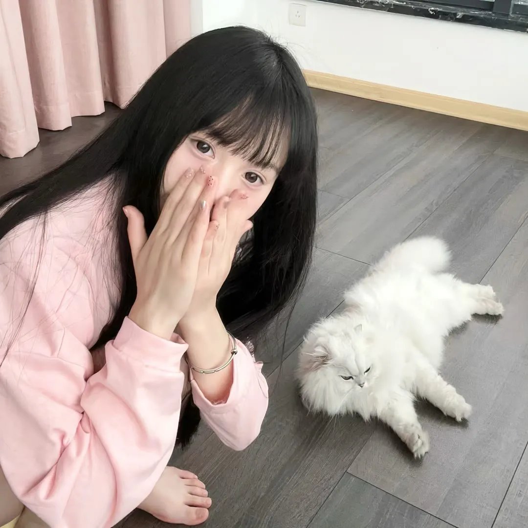智叻狗仔队