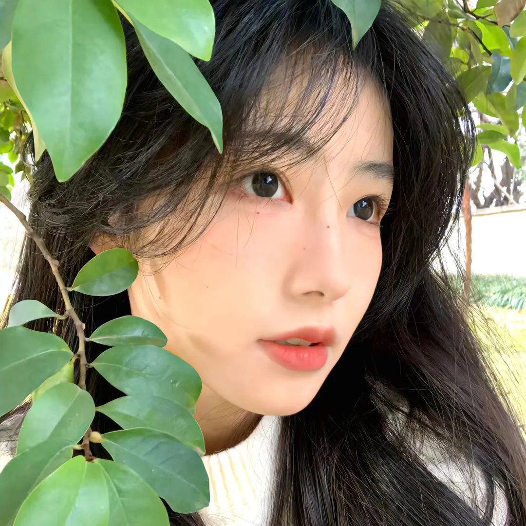 拜托小姐国语